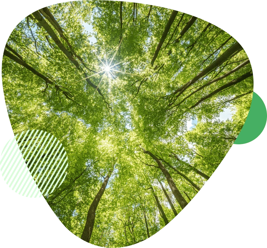 https://aksoypolimer.com/wp-content/uploads/2025/01/cevremizicinv3.webp